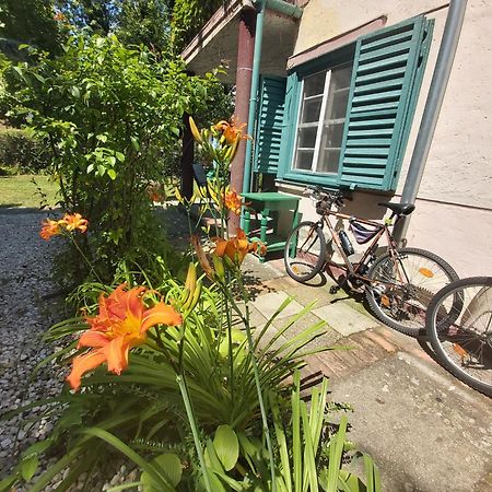 Garden Budha Relax Apartman, Parking, Bbq, Terrace Siofok Dış mekan fotoğraf