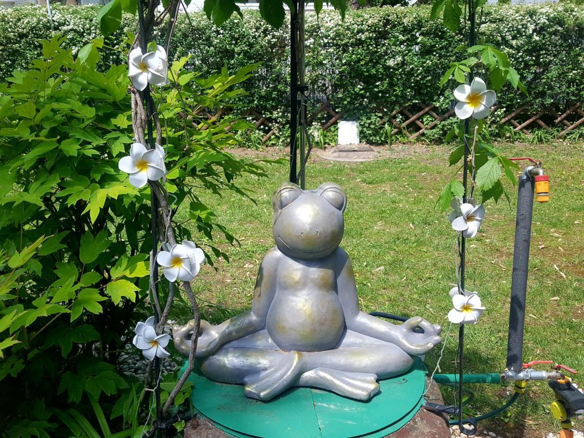 Garden Budha Relax Apartman, Parking, Bbq, Terrace Daire Siofok Dış mekan fotoğraf