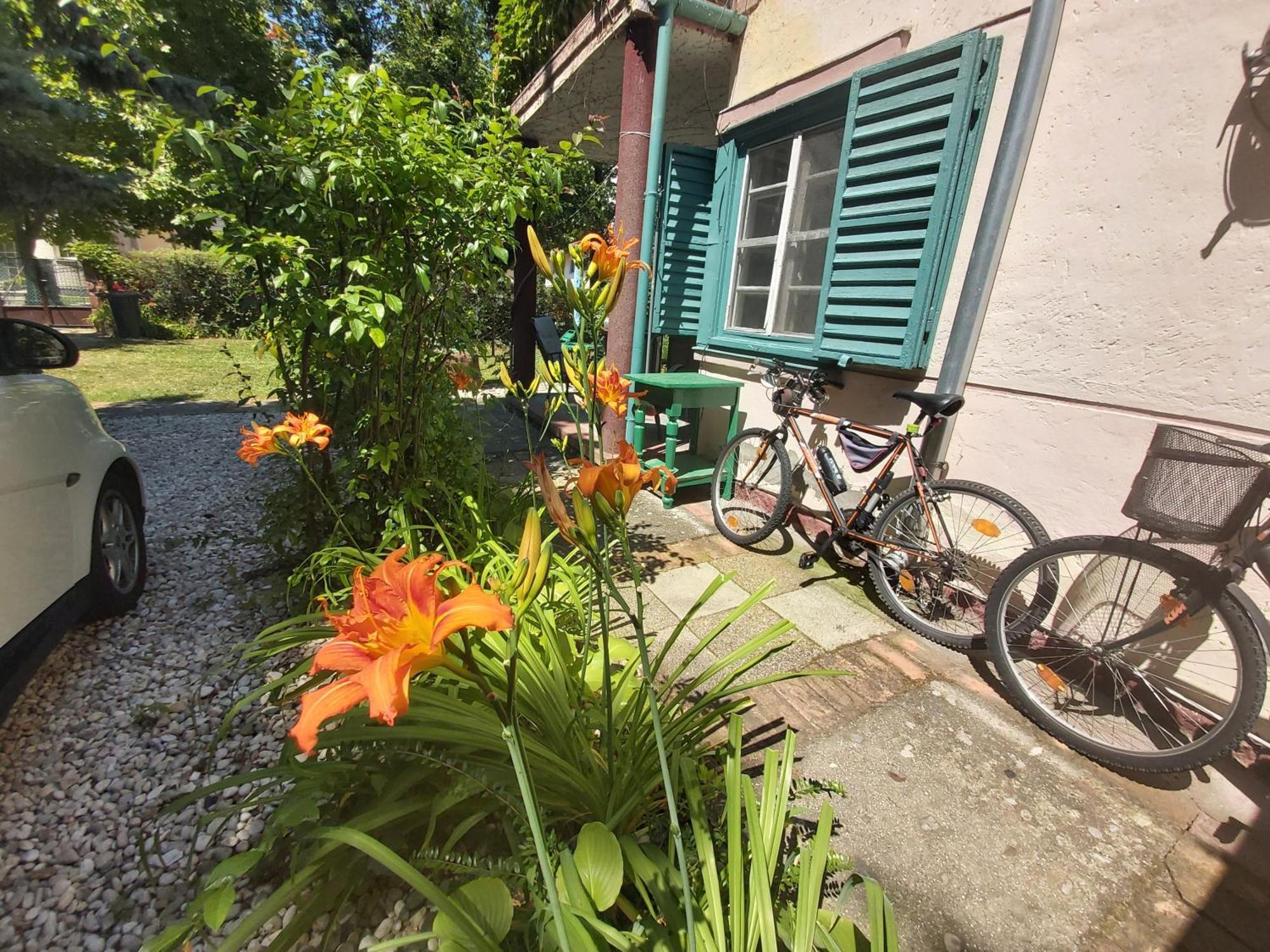 Garden Budha Relax Apartman, Parking, Bbq, Terrace Daire Siofok Dış mekan fotoğraf