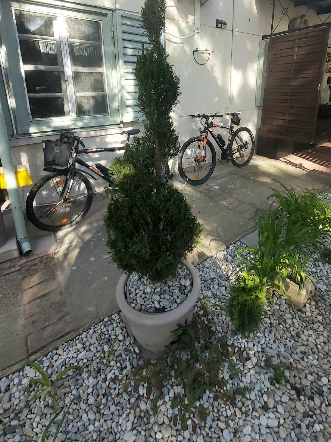 Garden Budha Relax Apartman, Parking, Bbq, Terrace Daire Siofok Dış mekan fotoğraf