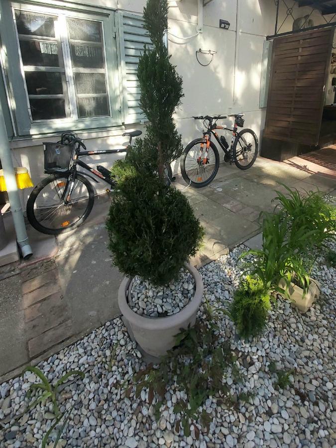 Garden Budha Relax Apartman, Parking, Bbq, Terrace Siofok Dış mekan fotoğraf