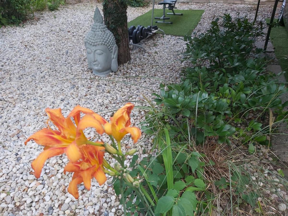 Garden Budha Relax Apartman, Parking, Bbq, Terrace Siofok Dış mekan fotoğraf