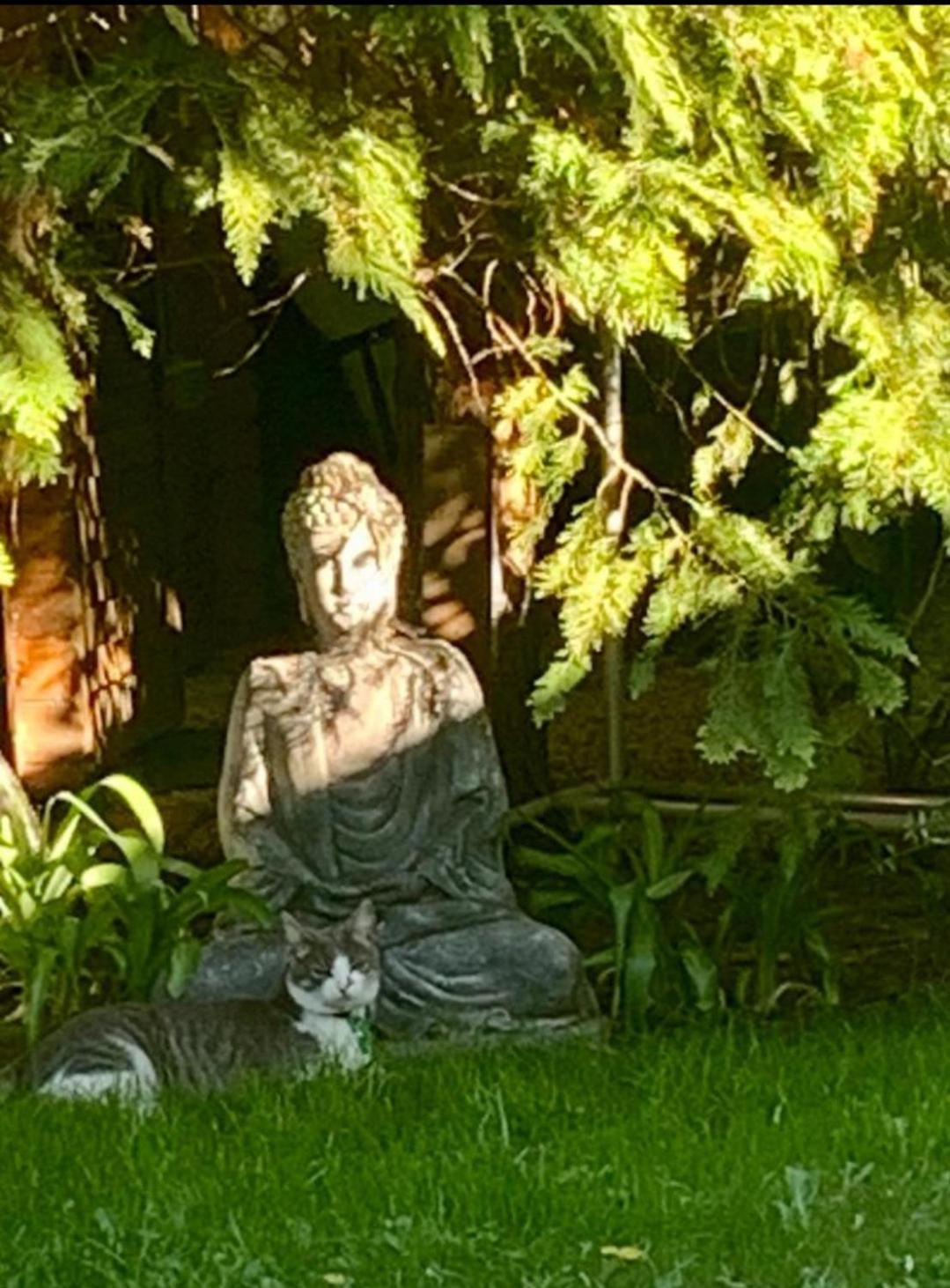 Garden Budha Relax Apartman, Parking, Bbq, Terrace Siofok Dış mekan fotoğraf