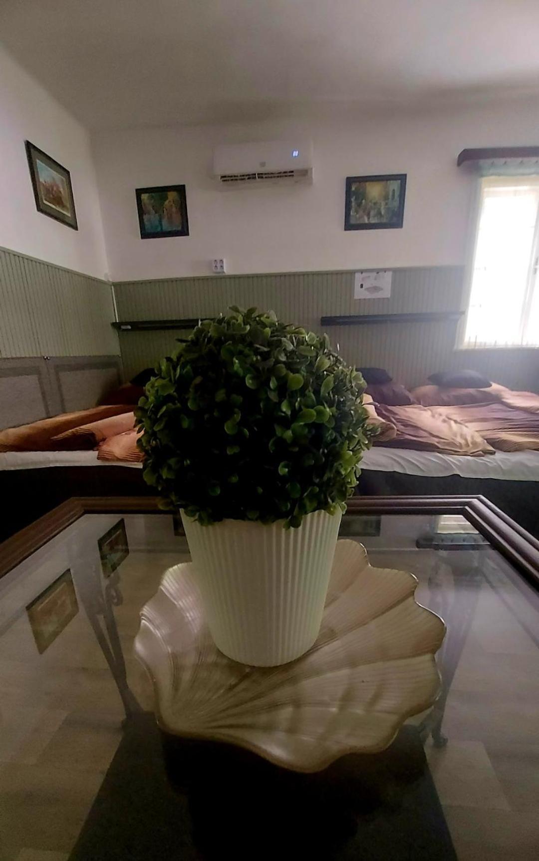 Garden Budha Relax Apartman, Parking, Bbq, Terrace Siofok Dış mekan fotoğraf